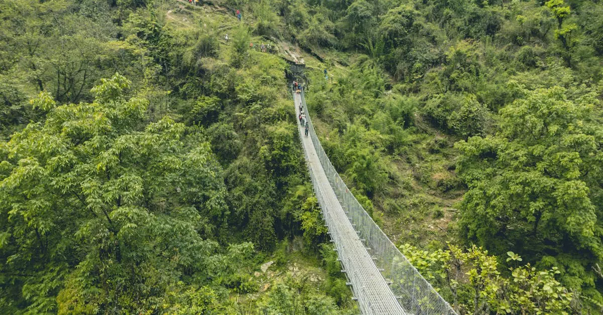 chitwan jungle walk price