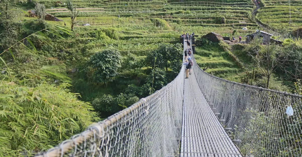 chitwan national park entry vs package cost