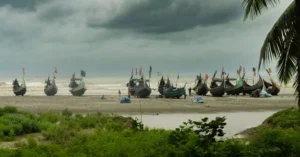 coxs bazar seafood price 33684437