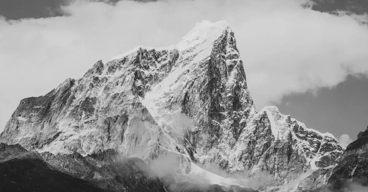 ebc trek insurance cost