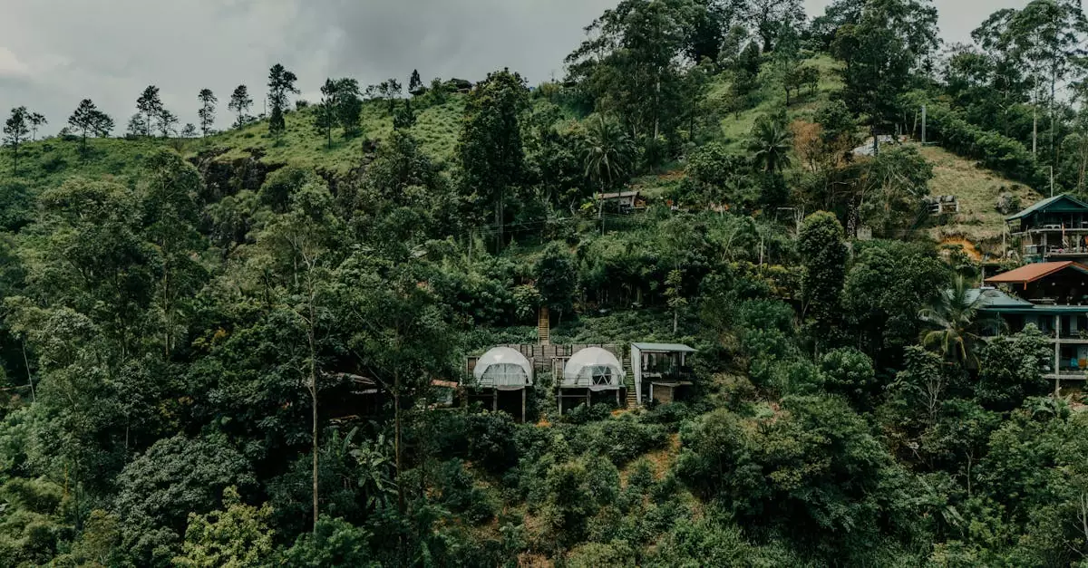 ella hotel price per night