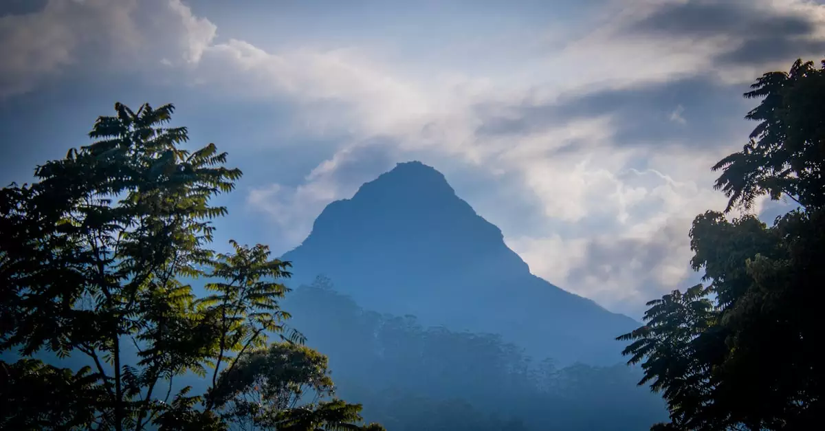 ella little adams peak ticket price