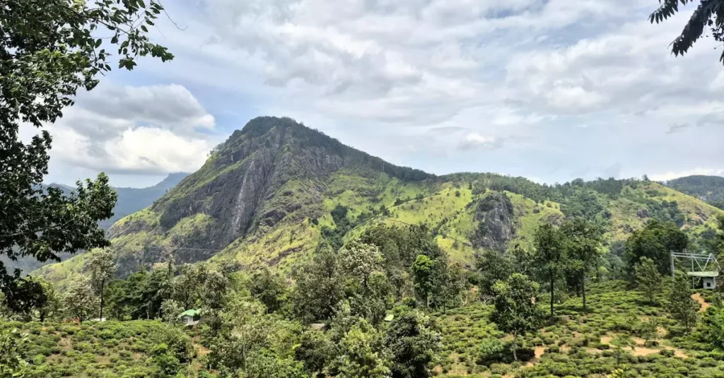 ella little adams peak ticket price 33345878