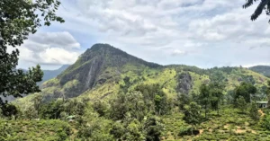 ella little adams peak ticket price 33345878