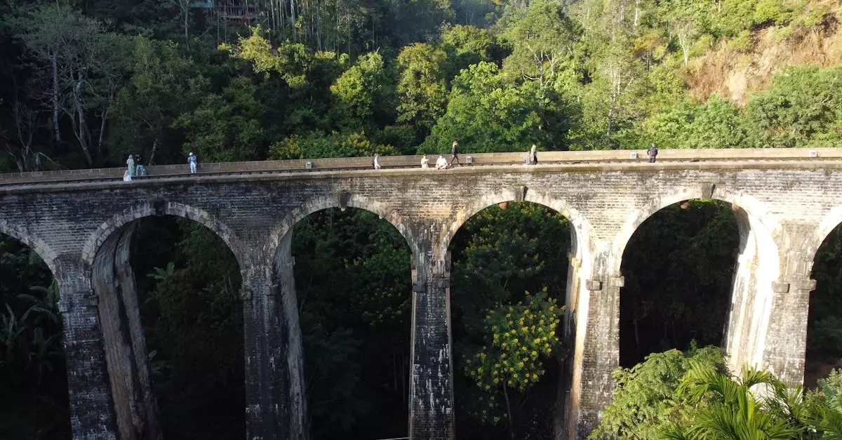 ella nine arch bridge entry fee