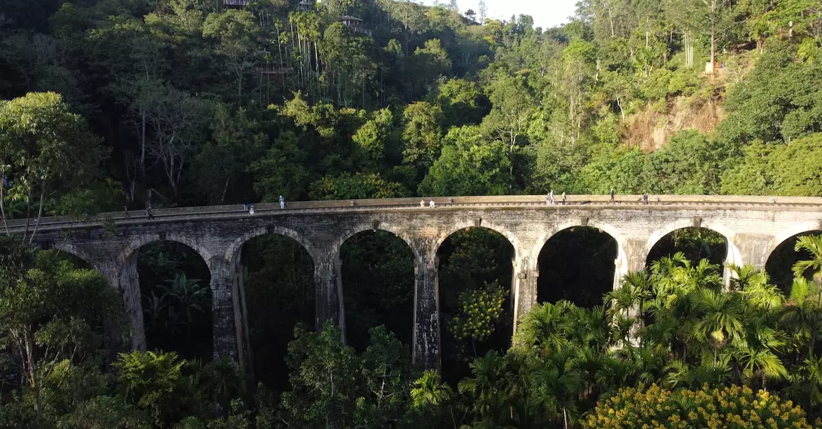 ella zipline price