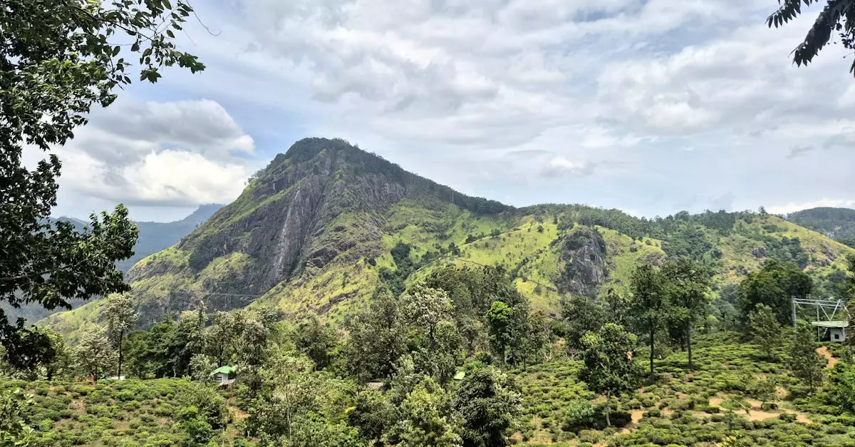 ella zipline vs hike cost comparison
