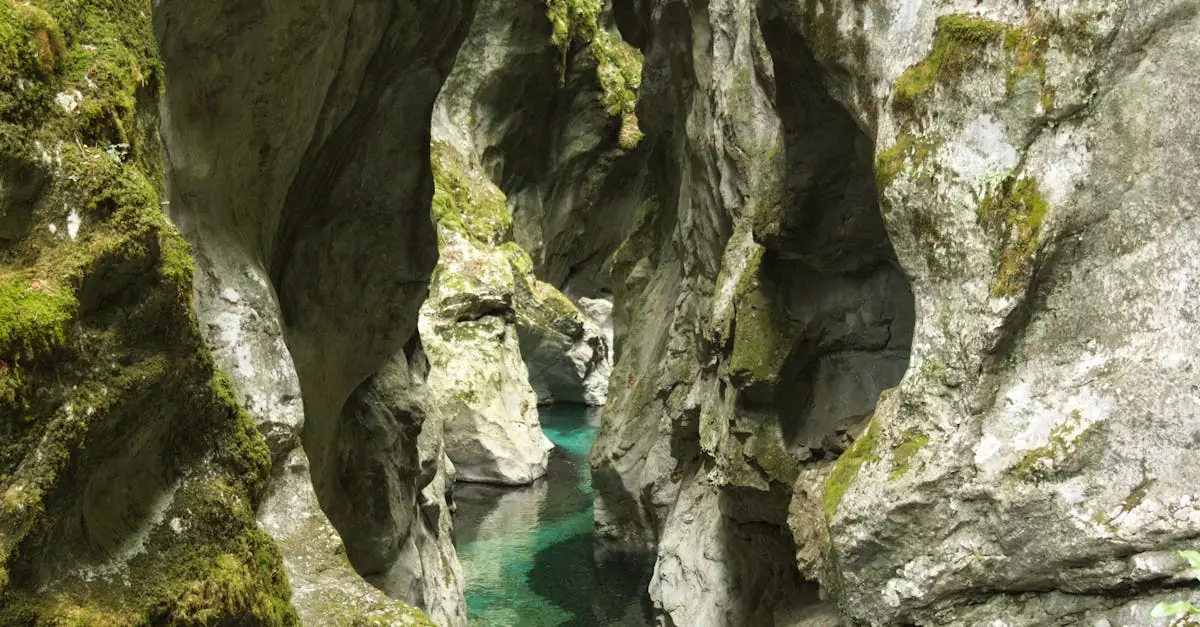 Discover the breathtaking Tolmin Gorge with its moss-covered cliffs and crystal-clear river in Slovenia.
