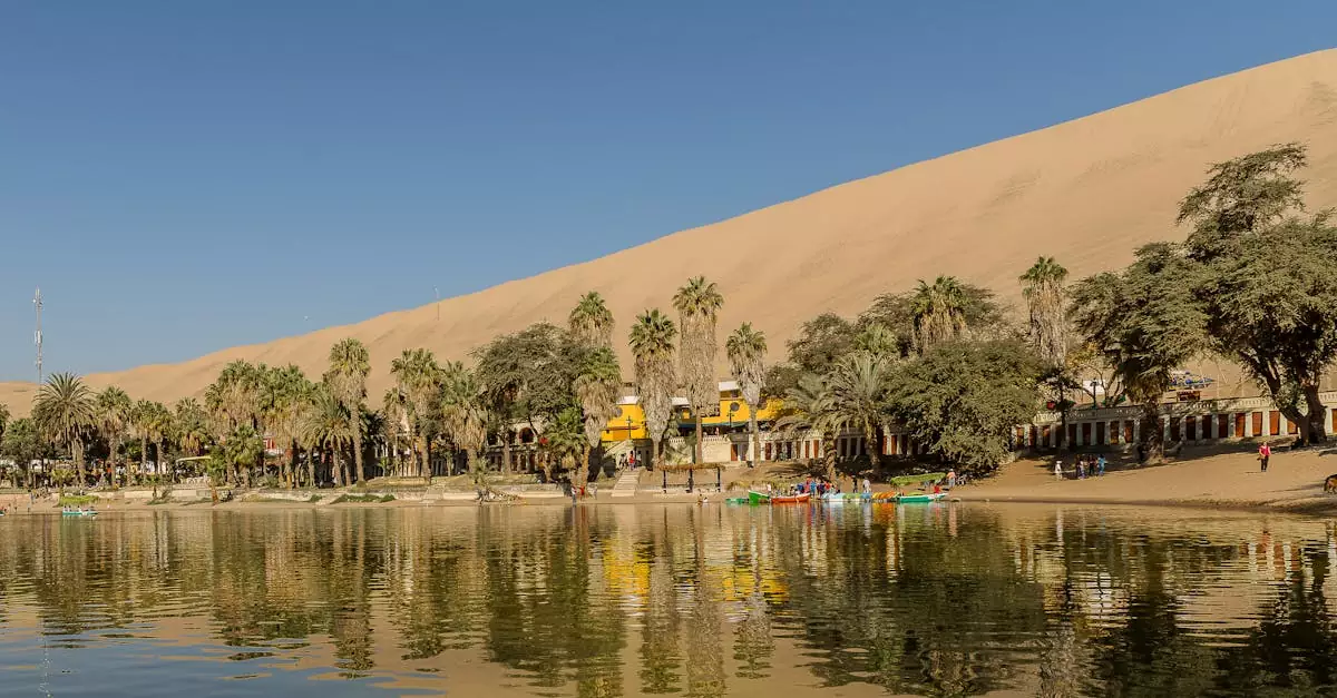 Stunning view of Huacachina oasis with lush palm trees and sand dunes under a clear sky.