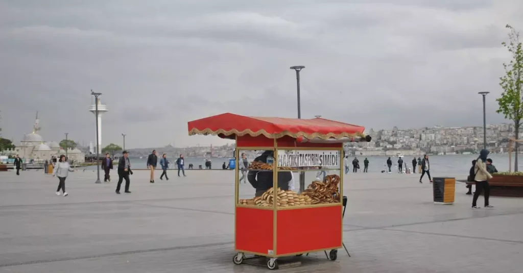 istanbul food cost per day 34948868