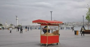 istanbul food cost per day 34948868