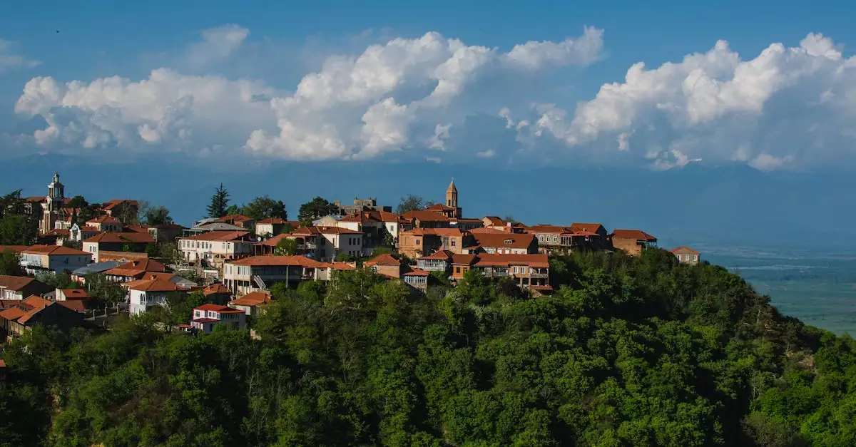 kakheti wine tour 1 day cost