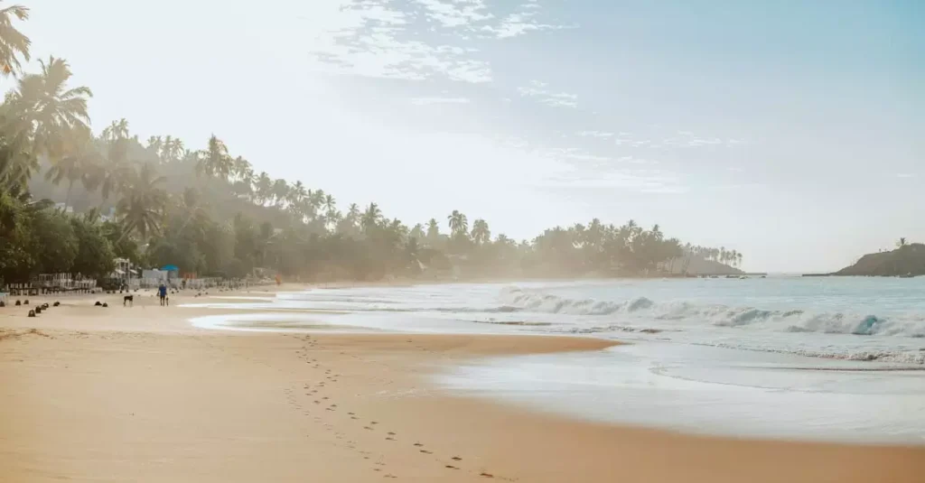 mirissa travel cost per day 5675024