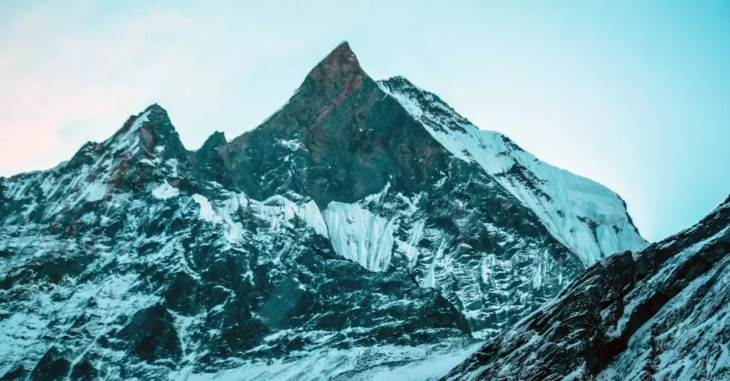 nepal peak season price increase percentage 24781751