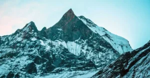 nepal peak season price increase percentage 24781751