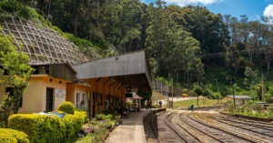 nuwara eliya tea factory tour price 36847129