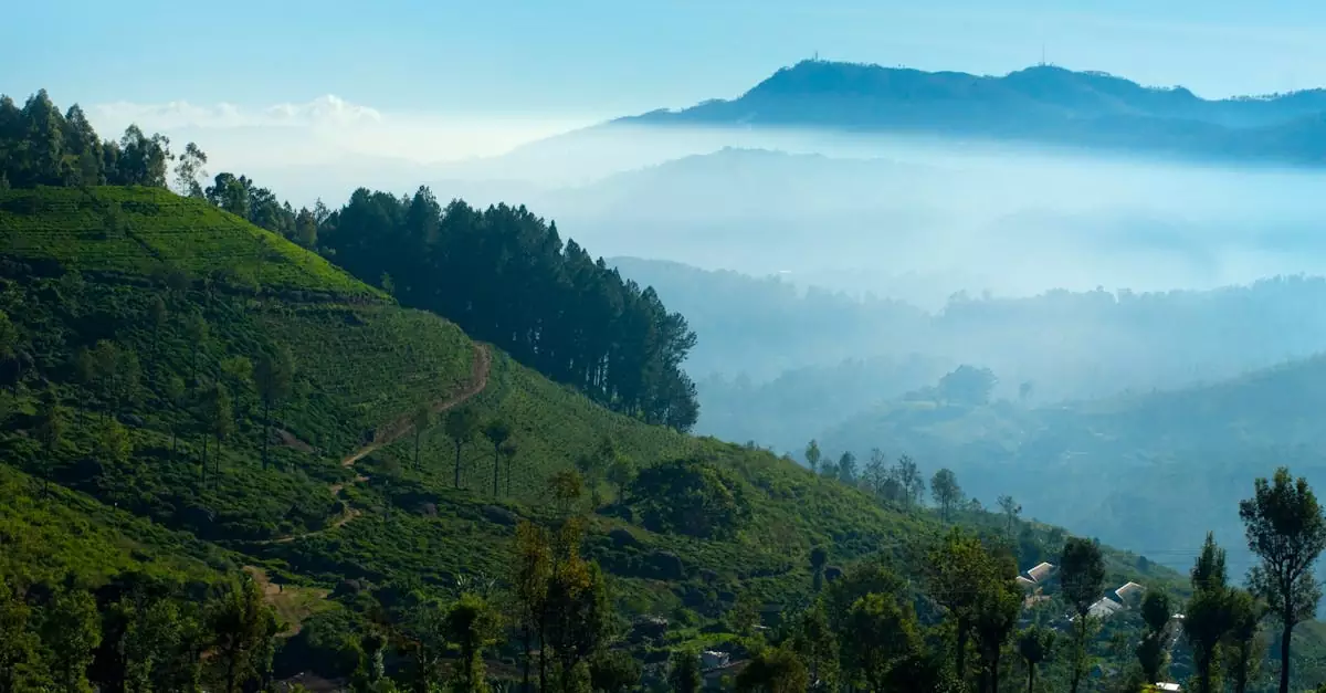 nuwara eliya travel cost