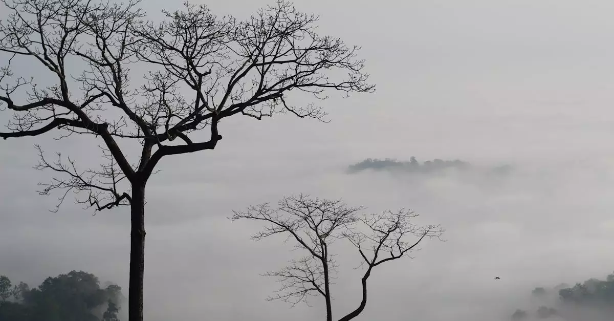 sajek valley couple travel cost 2 days