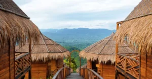 sajek valley resort vs homestay price comparison 28672449