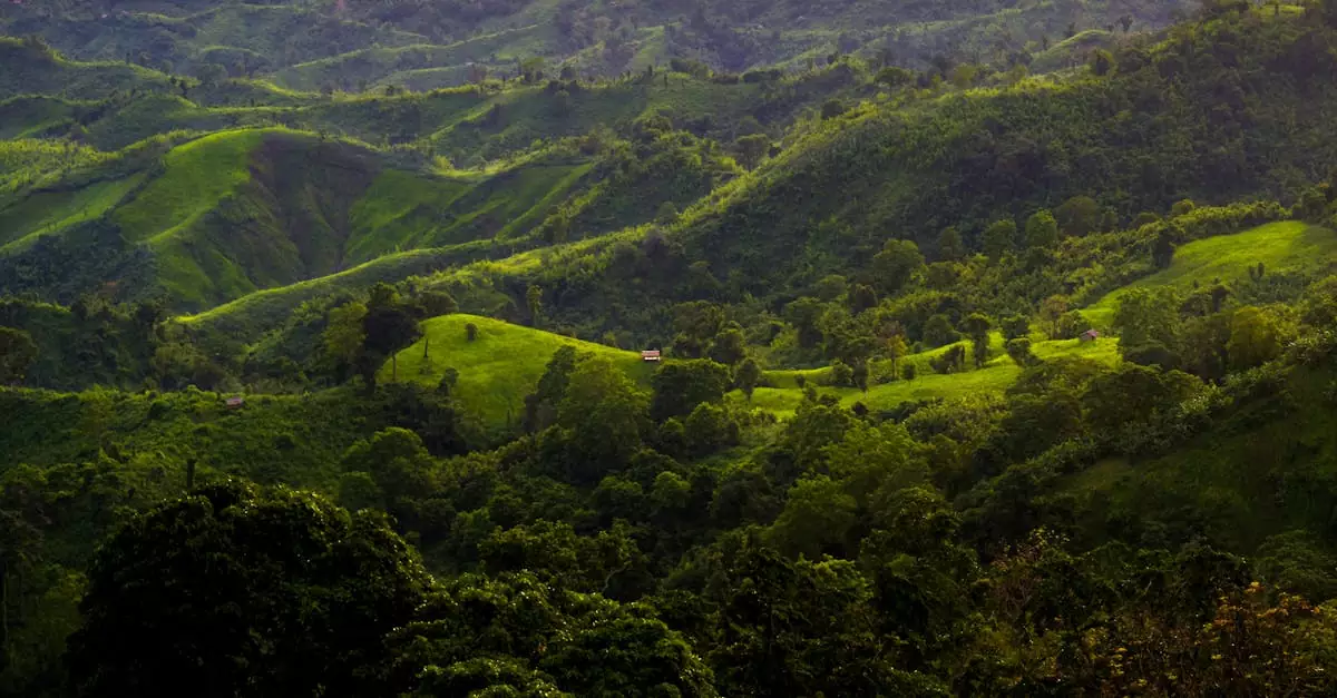 sajek valley resort vs homestay price comparison