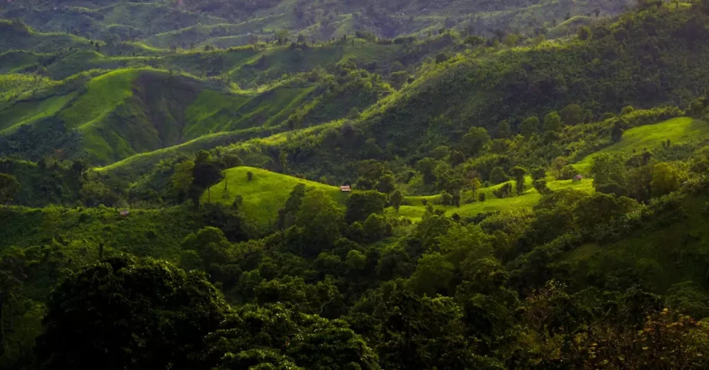 sajek valley travel cost 28672619