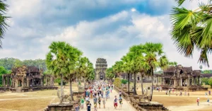 siem reap hostel price near pub street 4658616