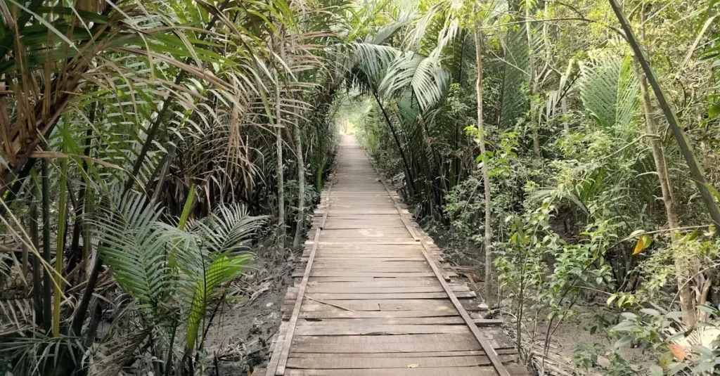 sundarbans one day budget breakdown 16925861 1