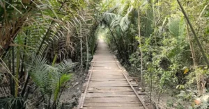 sundarbans one day budget breakdown 16925861 1