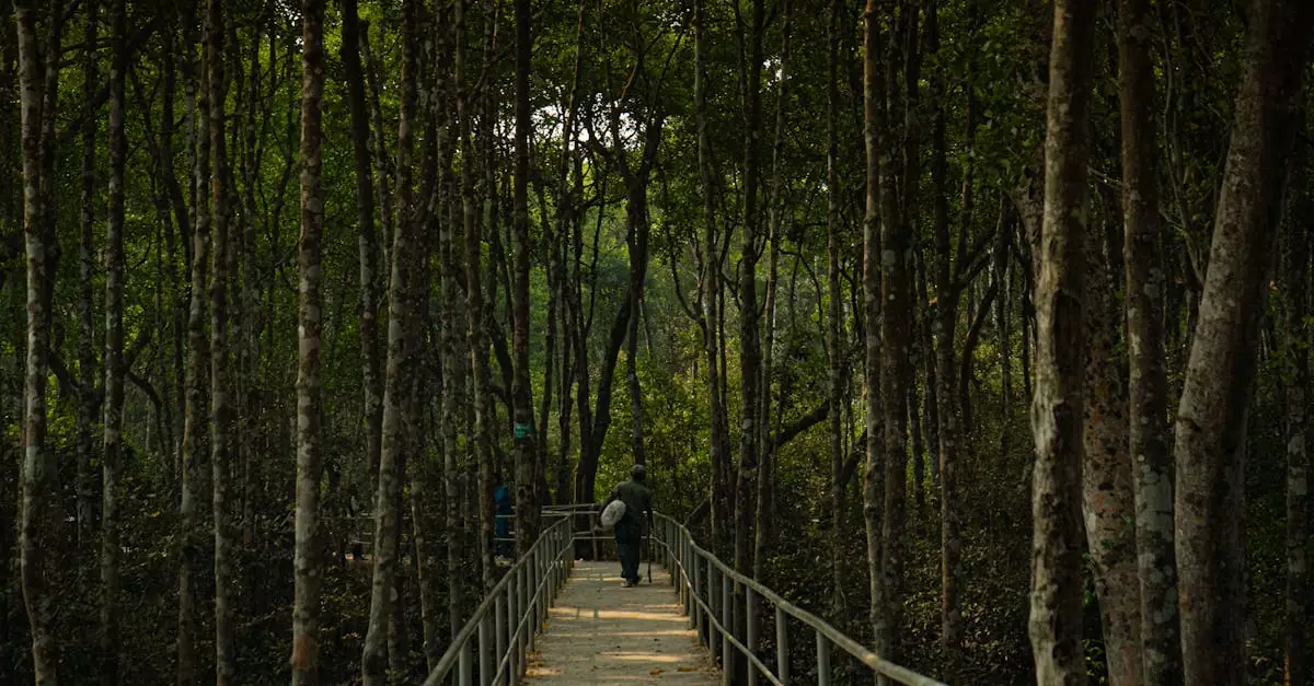 sundarbans one day budget breakdown