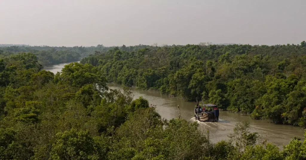sundarbans safari price 32775618
