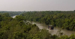 sundarbans tour cost 32775618 1