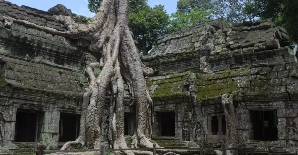 ta prohm temple ticket price 35344925