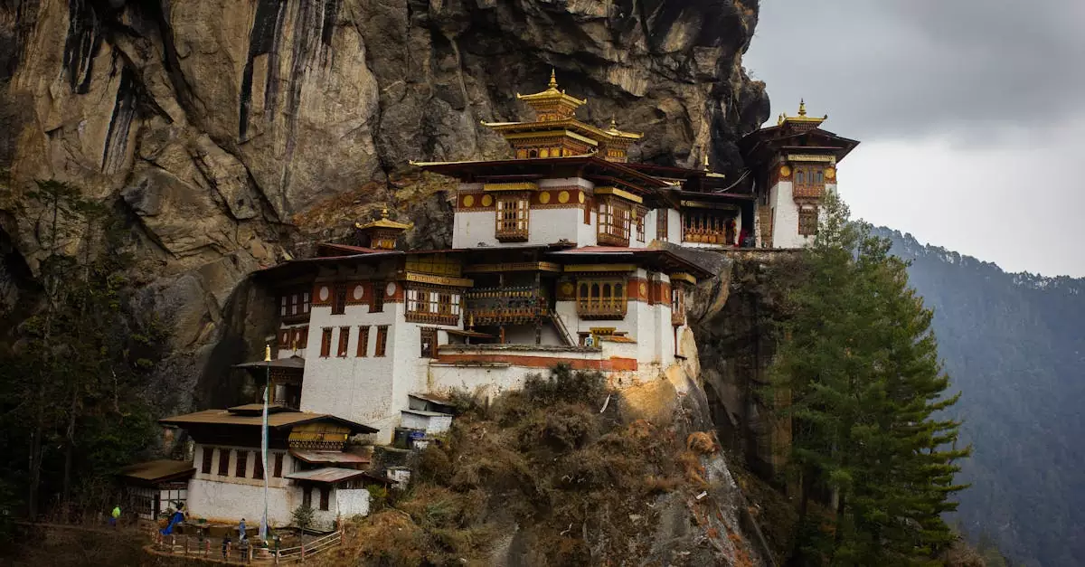 tigers nest hike cost