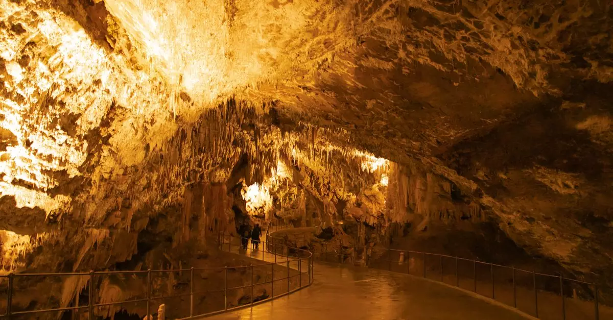 Explore the stunning formations of Postojna Cave in Slovenia, showcasing dramatic stalactites and lighting.