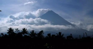 Silhouette of dark palm trees against marvellous volcano mountain emitting smoke in sunny day