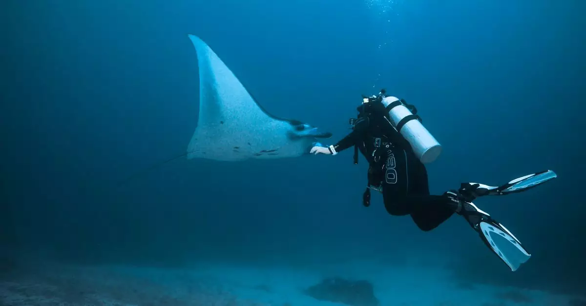 Scuba diver swimming alongside a majestic manta ray in the ocean depths.