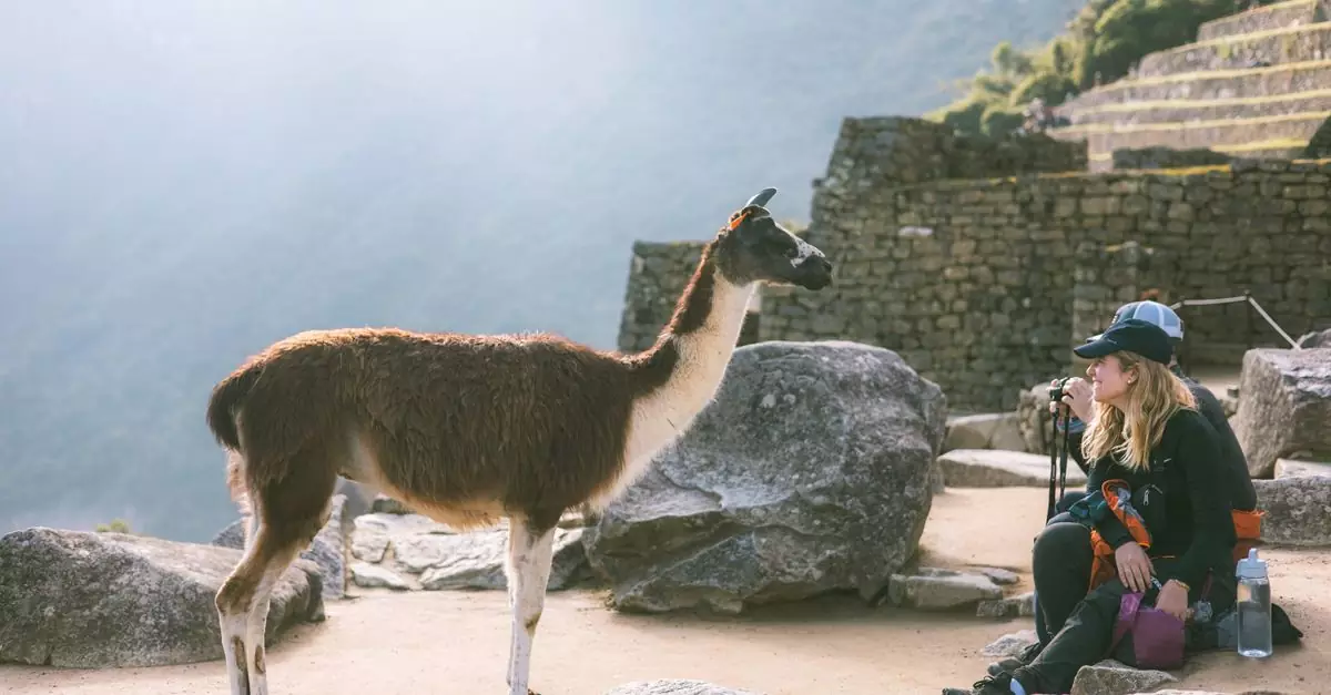Tourist and llama at Machu Picchu ruins with sunlight streaming down.