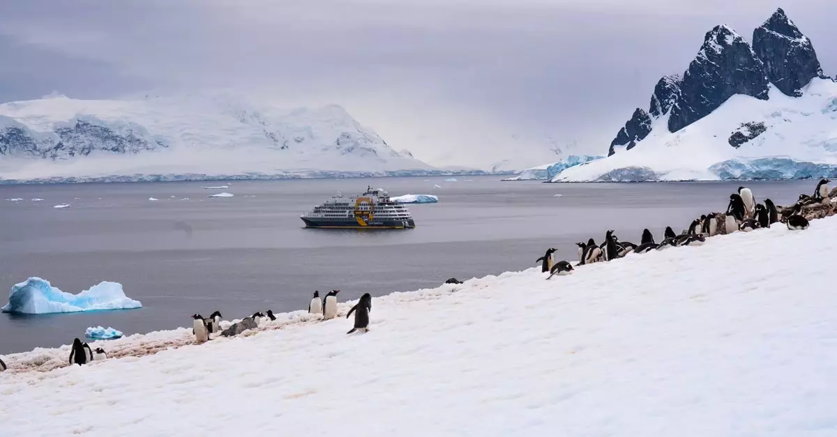 Penguins gather on snowy Antarctic coast with a cruise ship on icy waters.