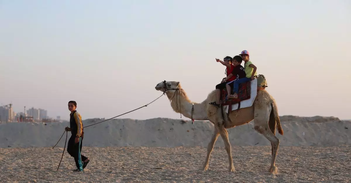 Children enjoying a camel ride on a beach in Palestine at sunset, showcasing a unique cultural experience.