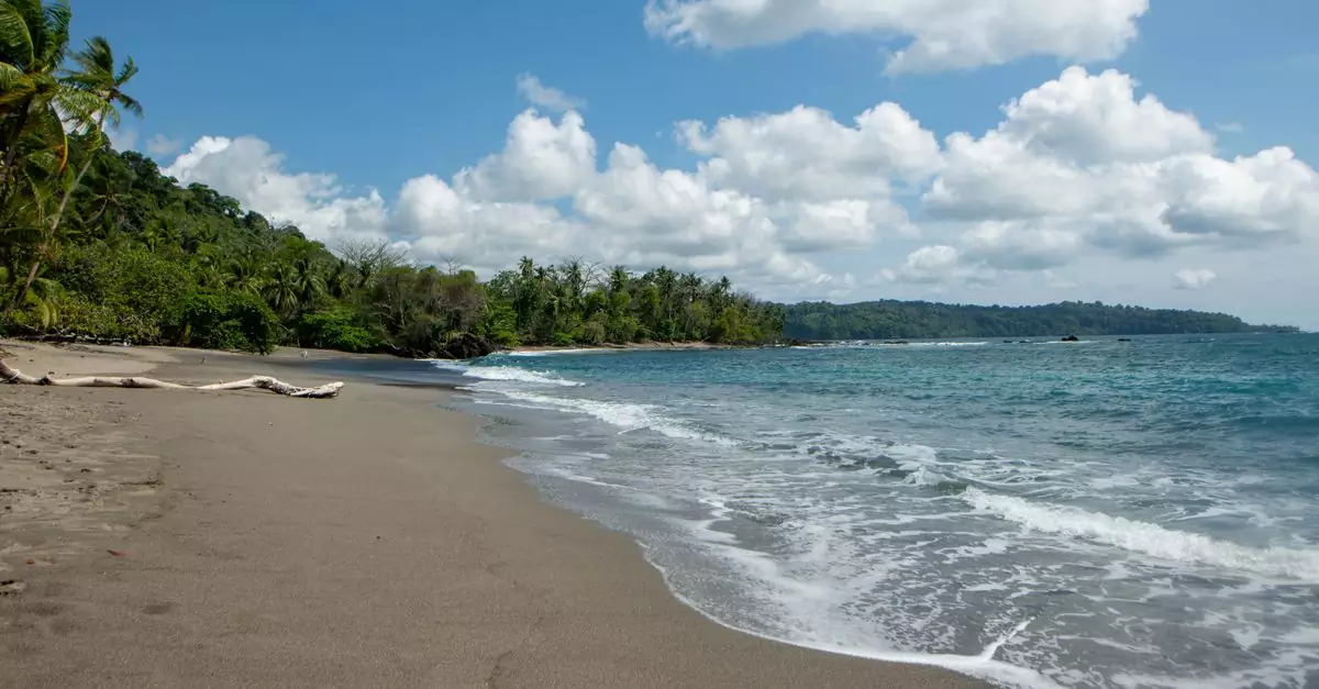 Discover a tranquil beach with lush greenery and clear skies in Costa Rica's paradise.