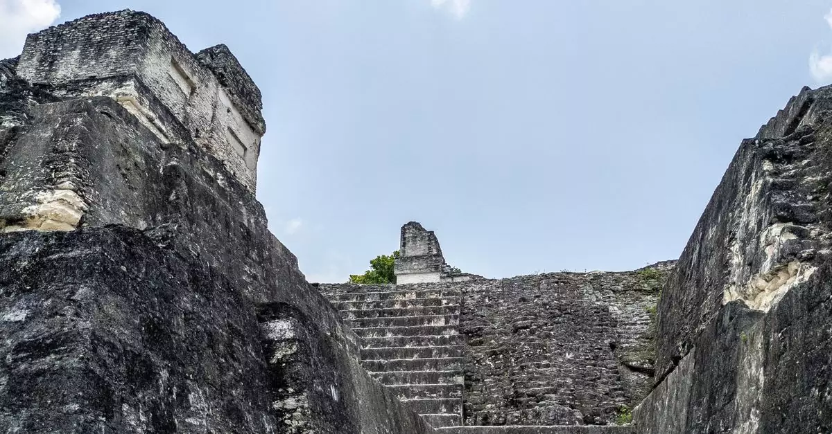 Explore the ancient stone ruins and steep steps of Tikal, a historic archeological site in Guatemala.