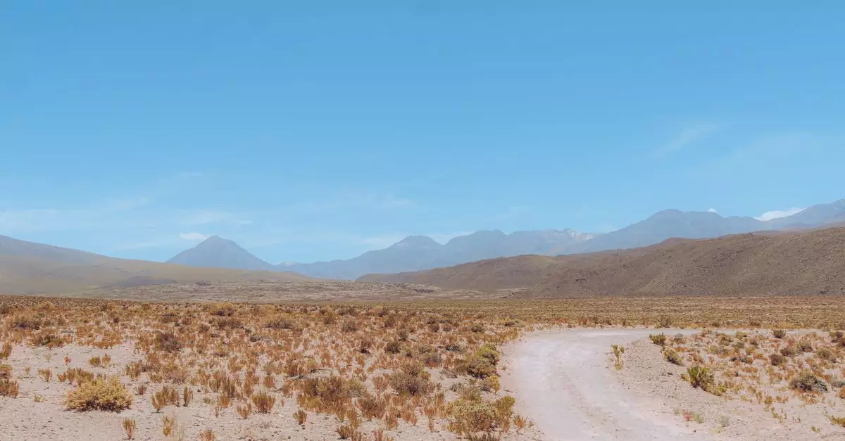 Explore the serene beauty of a desert road winding through Antofagasta, Chile's vast landscape.