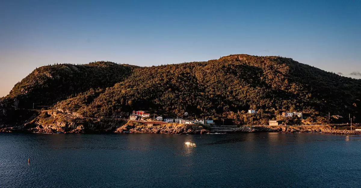 A picturesque landscape of St. John's harbor with rolling hills under a clear blue sky at daytime.