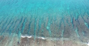 Stunning aerial shot of vibrant coral reefs and turquoise waters in the Maldives, ideal for nature lovers.
