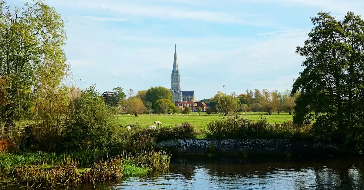 View of Salisbury Cathedral across a tranquil meadow and pond, showcasing gothic architecture.