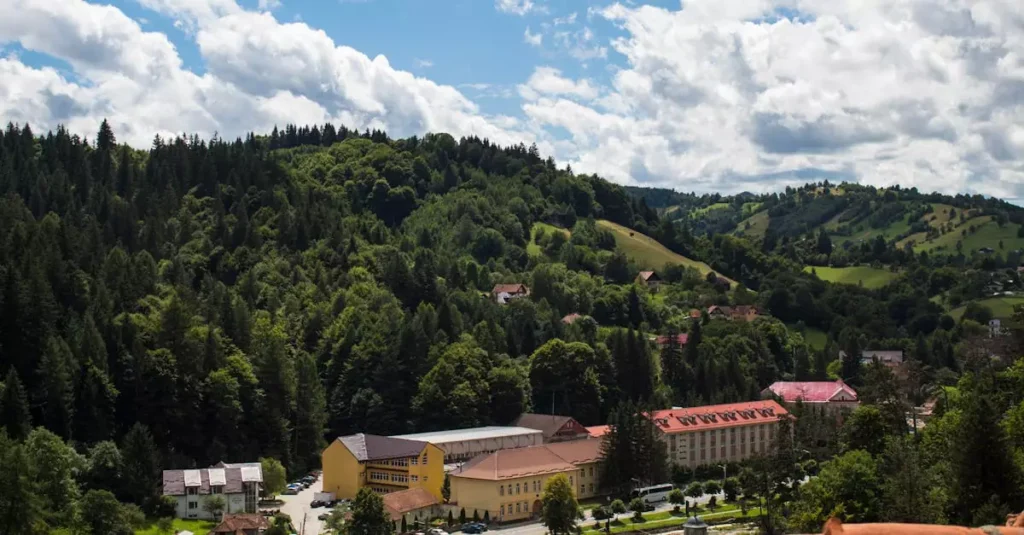 Scenic view of a quaint town in Transylvania surrounded by lush green hills and forests.