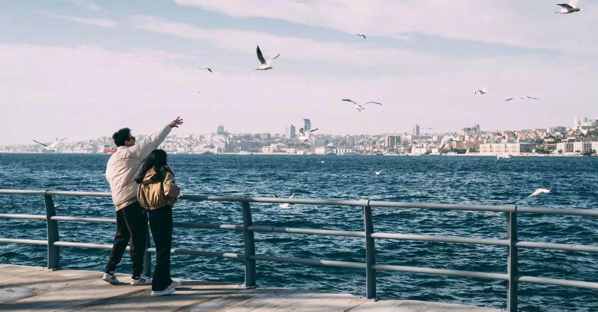 A couple standing on a pier, admiring seagulls over the Bosporus in Istanbul on a sunny day.