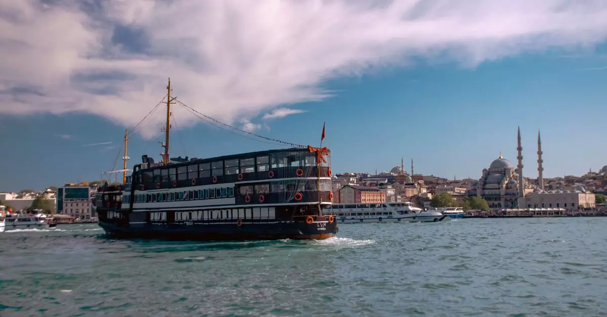 Explore Istanbul's skyline on a ferry cruise along the Bosphorus Strait.