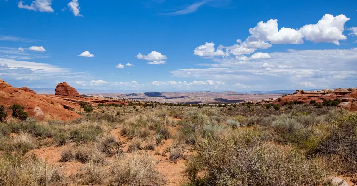 Breathtaking desert landscape of Arches National Park under a clear blue sky.