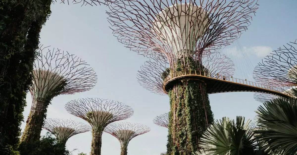 Majestic view of Supertree Grove at Gardens by the Bay in Singapore, showcasing unique architecture and nature.